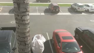 Windy in Ontario CA