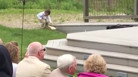 Kids add some comedy to a wedding Ring Bearer Fails