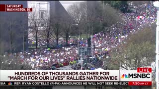 Sociologist: Less Than 10 Percent Of March For Our Lives Participants Were Children