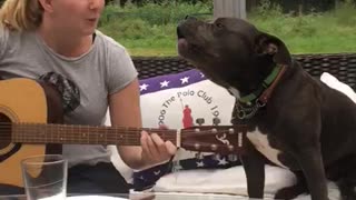 Dog Sings Along While Owner Plays Guitar