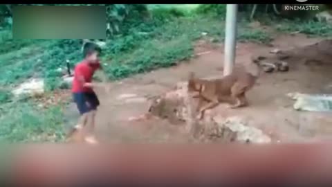 Boy play with Dog