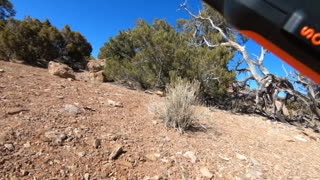 Astec Butte Trail Hike Moab Utah 2020