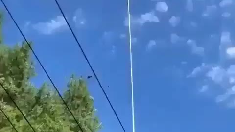 Tree trimming Technology