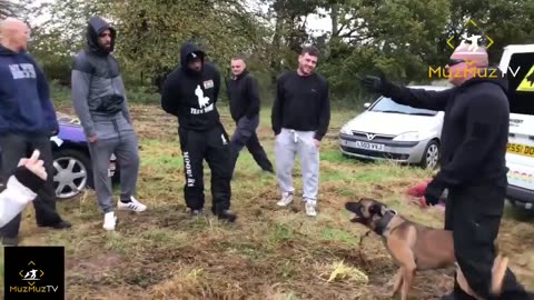 Protection dog training / control scenario