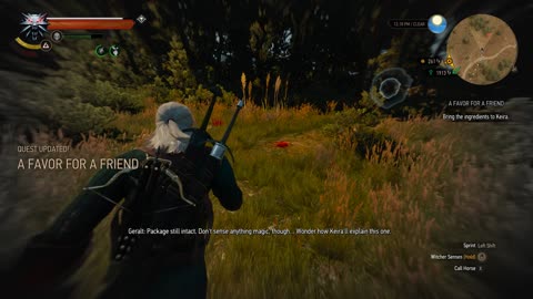 Witcher 3 - A Favor For A Friend Quest Walkthrough