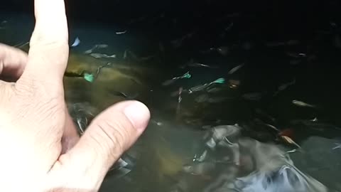massage with lovely fish
