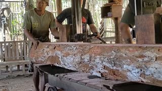 The Mahogany Board Production Process in Sawmill Sawmills Is Amazingly Cool