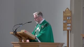 20th Sunday In Ordinary Time - Homily