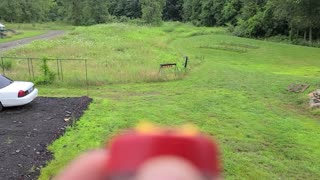 Feeding hummingbirds