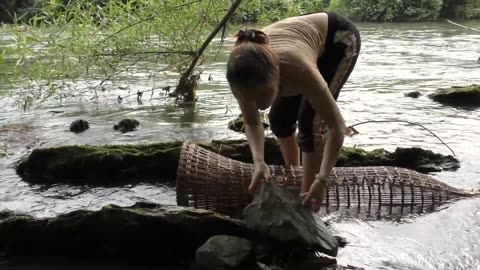 Wild Fishing | Use Primitive Traps to catch fish in the river | Primitive Skill - Fishing Technique