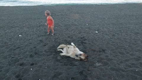 Cute Baby And The Dog Playing Together On The Beach