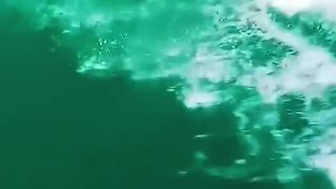 Surf in the green ocean