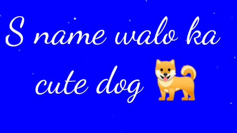 Alphabet name walo ka cute Dog 🐶🐕🐩🐕‍🦺 S name walo ka Dog | P name walo ka cute Dog.