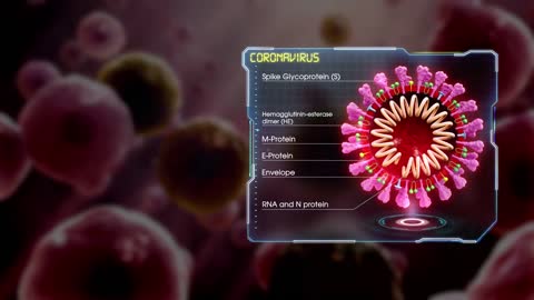 Coronavirus structure