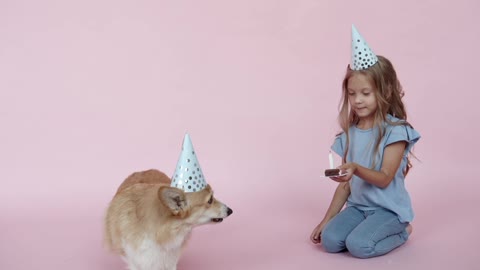 A cute girl is celebrating birthday of her beautiful pet dog(2022).