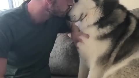 Hilarious Moment: Man Shares a Smooch with an Adorable Dog!