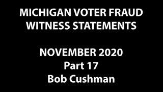 MI poll watchers official testimony over witnessed 2020 election fraud 7