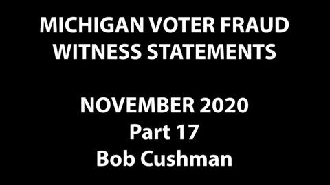 MI poll watchers official testimony over witnessed 2020 election fraud 7