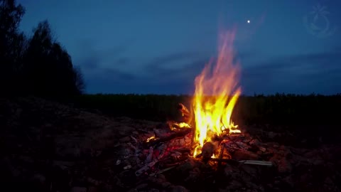 Campfire Ambience with Night Animals, Made for Relaxation & Sleep, Enjoy