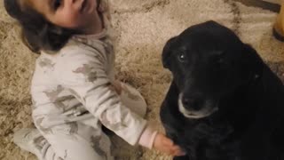 Toddler tries to get dog upstairs for bed.