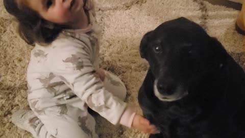 Toddler tries to get dog upstairs for bed.