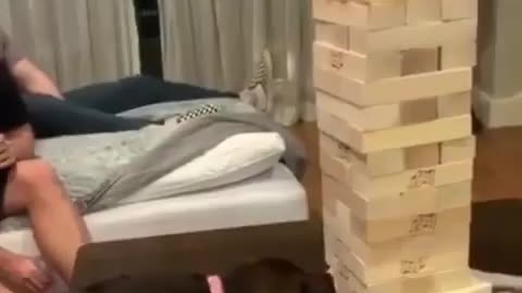 This Dog is a Jenga CHAMP😂. Unbelievable
