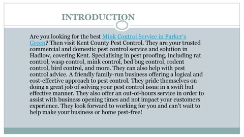 Best Mink Control Service in Parker's Green