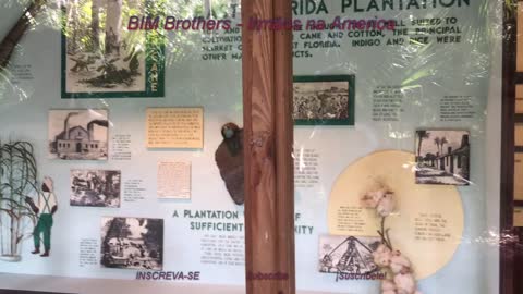 Bulow Plantation Ruins + Historic State Park + Flagler Beach + Florida + Part 3/5