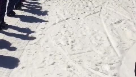 Guy skis down snow hill to try to skim over water but instantly falls forward into water
