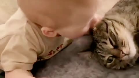 Funny cat and baby