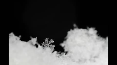 Lord Winter - Snowflake