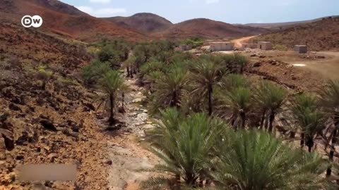 Socotra : : The Treasure Island Between Yamen And Somalia