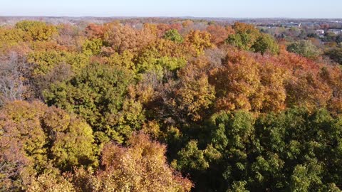 Fall Colors from a Drone