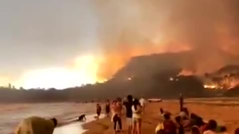 Beach-goers witness insane Australian bushfires