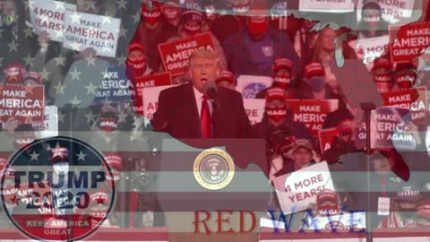 Red Wave - Cry Liberal Tears - #Trump2020