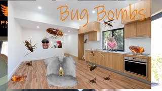 Bug Bombs #whatbugsme | Phoenix Pest Control TN
