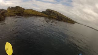 Mark Clark Portrush Kayaking around The Skerries Island with seal 2015.