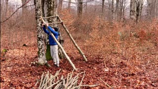 Building a Solo Shelter in the Forest: A Tale of Survival
