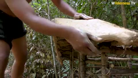 lindos cachorros haciendo cosas divertidas