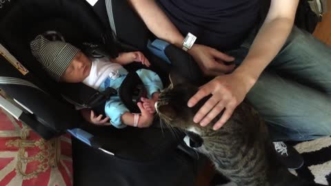 Cats meeting babies and children for the first time BEST NEW compilation