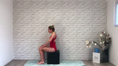 Back Pain Exercise (At Home)