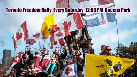 Freedom Rally goes in Toronto every Saturday at 12pm