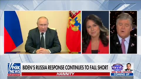 'You're Ducking': Sean Hannity Spars With Tulsi Gabbard Over Assisting Ukraine