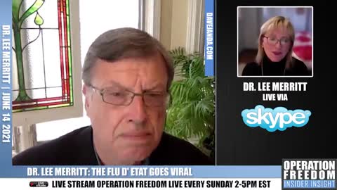 Dr. Lee Merritt: The Flu D' Etat