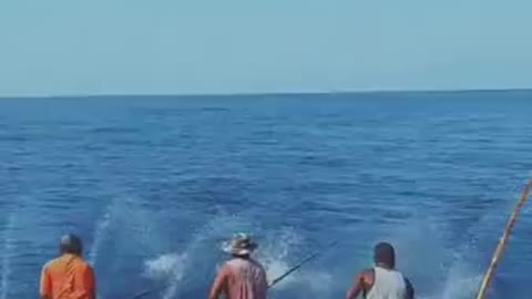 Amazing Technique For Massive Fishing