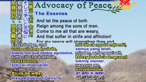 Advocacy of peace , Motivational sayings, bringing a peaceful life