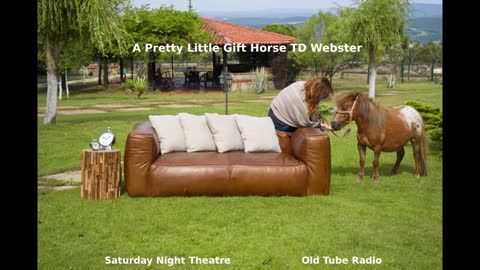 A Pretty Little Gift Horse By TD Webster