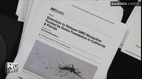 Bill Gates Plans To Release GMO Mosquitos In Florida And California