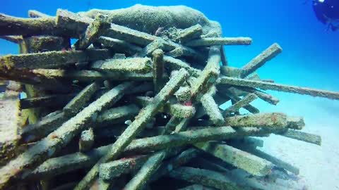 Museo Atlantico, Lanzarote - Feb 2017-15