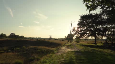 Matthias-Groeneveld Ambient nature-atmosphere,